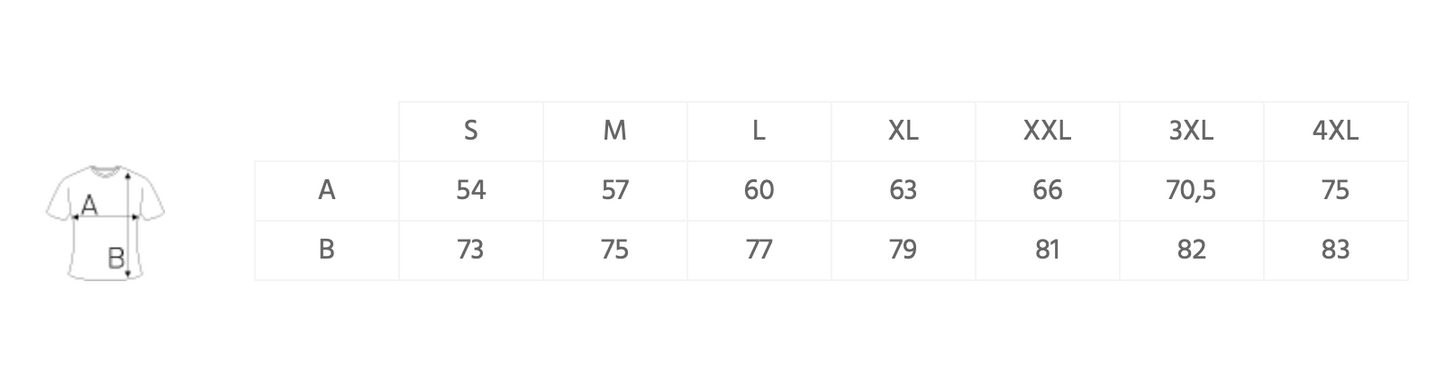 MSC Mölln Vision Pullover