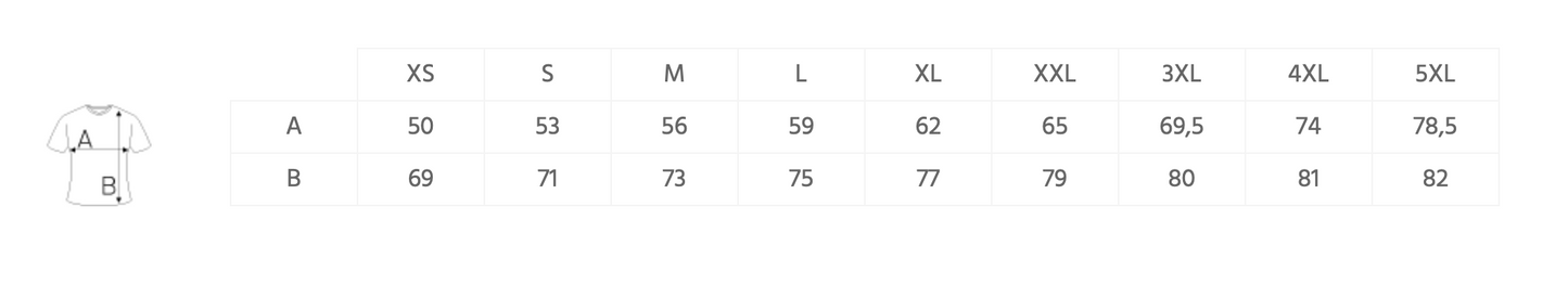 MSC Mölln Vision Hoodie