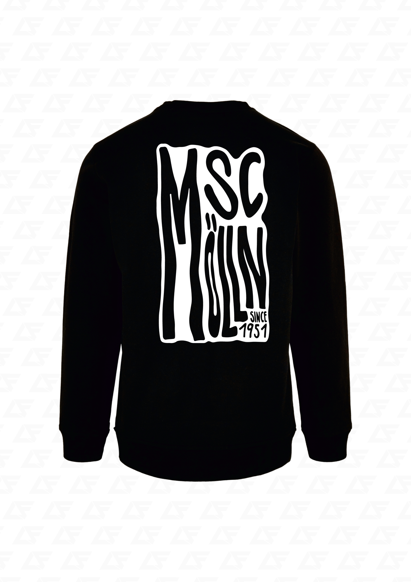 MSC Mölln Vision Pullover